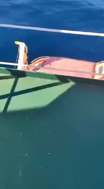 Russian Cargo Ship Sinks Amid Nuclear Technology Transfer Claims