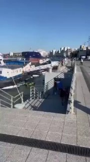 Vessel S Line Loses Control, Strikes Riverbank in Tulcea