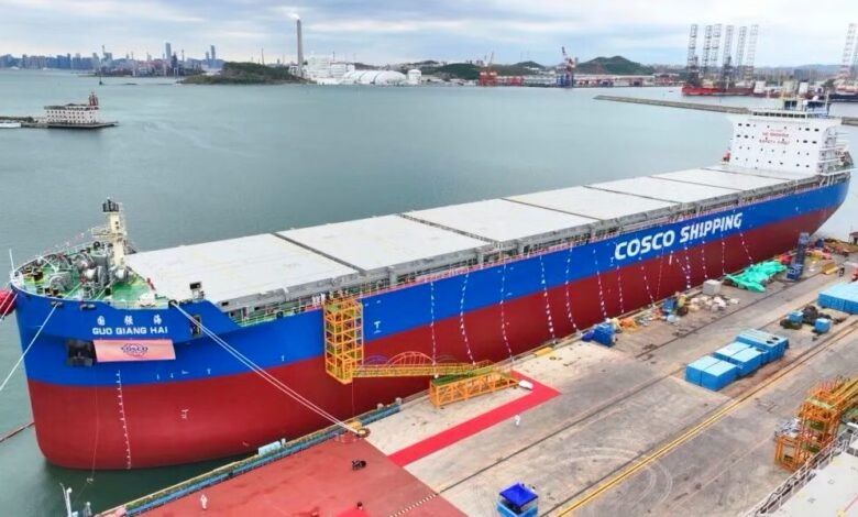 COSCO Shipping Bulk Orders 16 More Grain Carriers at Fujian