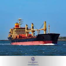 Jiangsu Hongming Shipbuilding Co. Ltd. - SHIPYARD