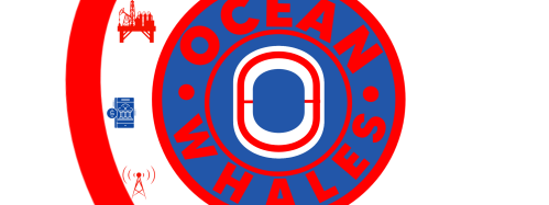 OCEAN WHALES OFFSHORES LTD