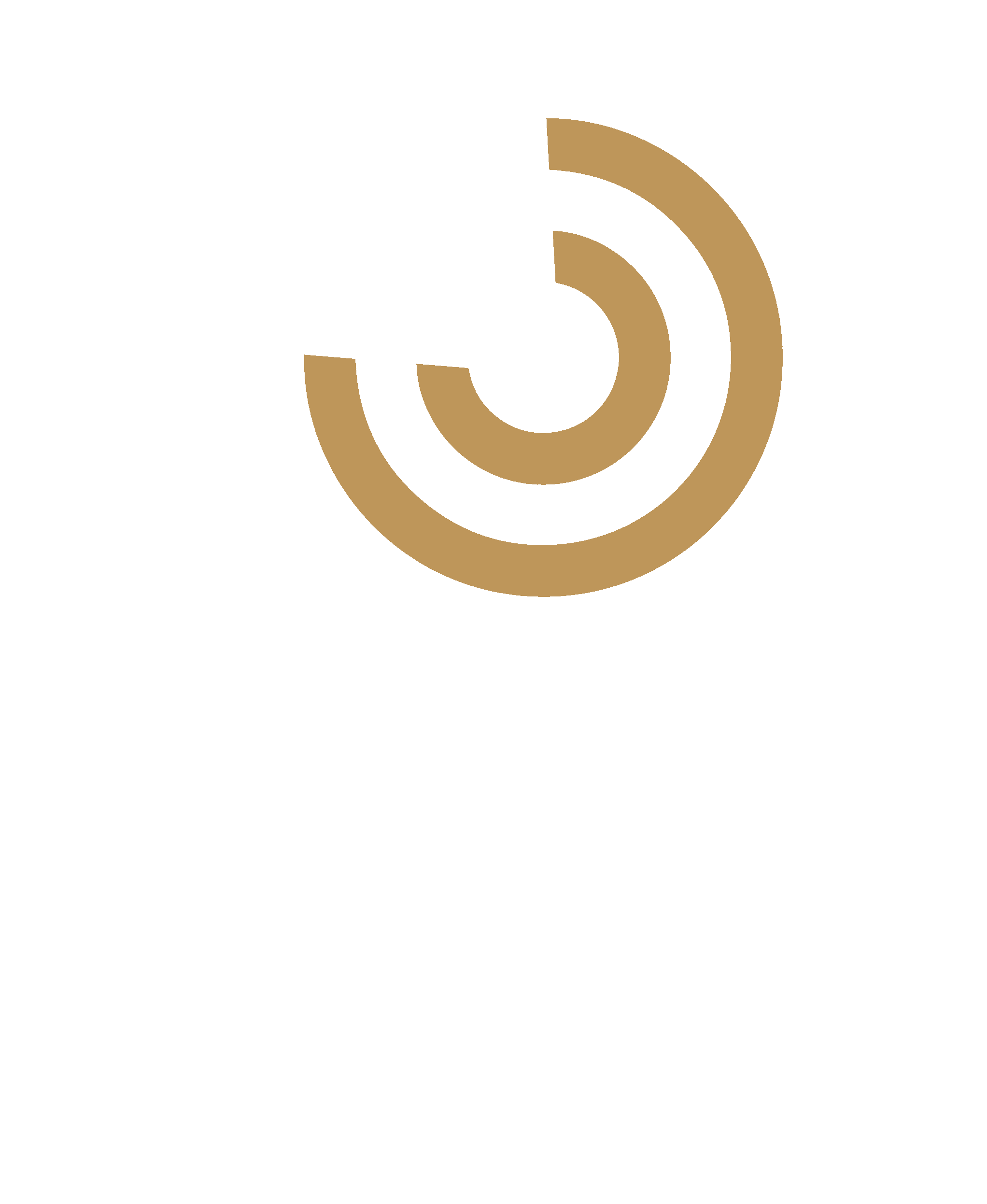 CWN Marine B.V. CWN Marine B.V.