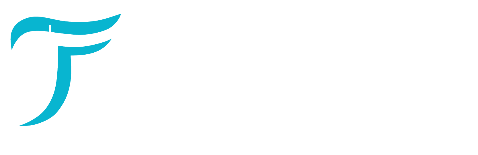 TECNOPHOS SERVICES S.A.