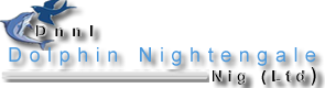 DOLPHIN NIGHTENGALE NIG. LTD DOLPHIN NIGHTENGALE NIG. LTD