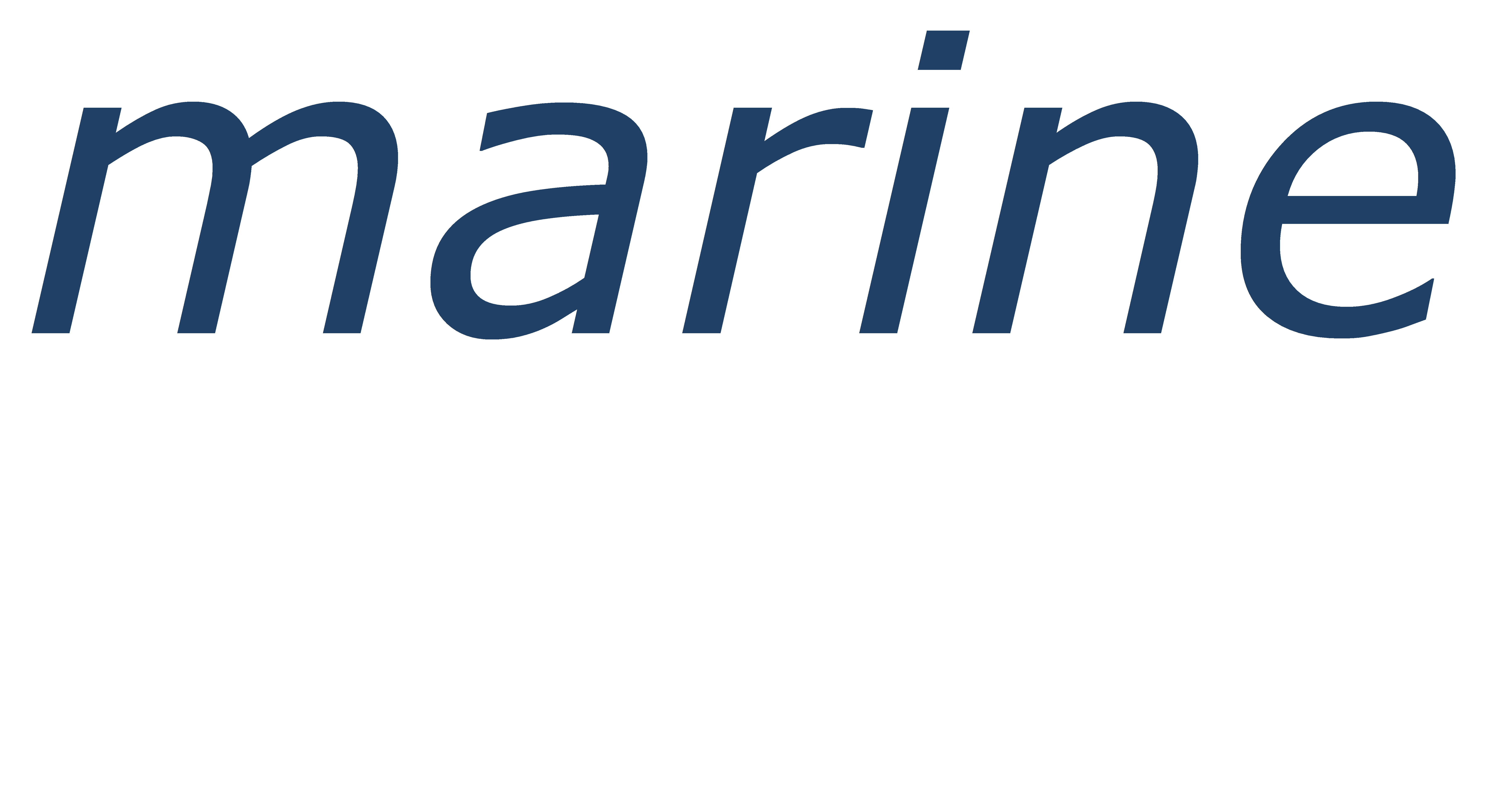 MARINE INVEST GROUP MARINE INVEST GROUP