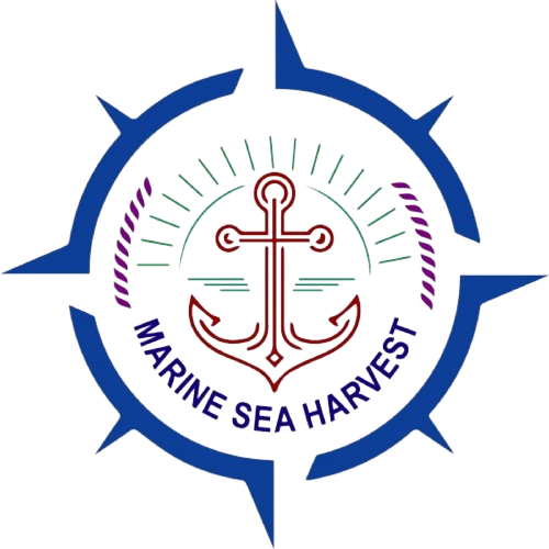 AA MARINE SEA HARVEST