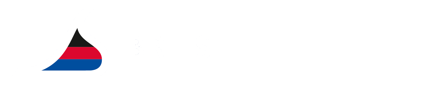 Briese Group