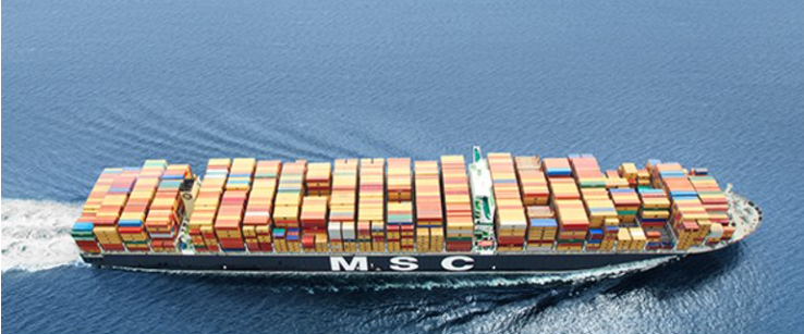 MSC MEDITERRANEAN SHIPPING CO SA (GENEVA)