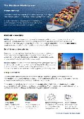 The Maritime Marketplace_for shipping companies_2024.pdf